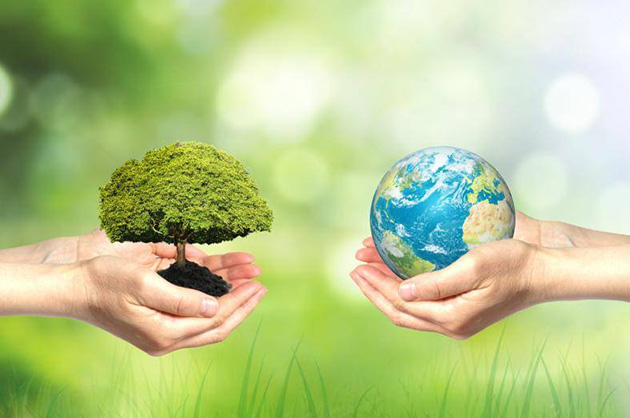 De National Carbon Market Transaction Prijs begint vandaag